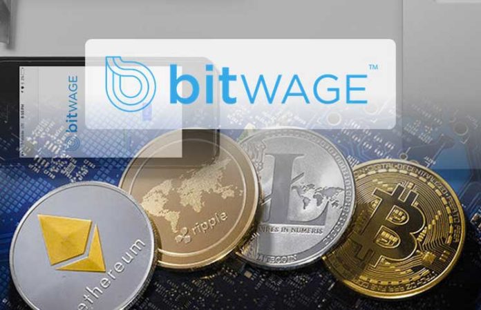 Bitcoin Exchange Guide Bitwage Now Lets Salaried Employees Get Paid - 