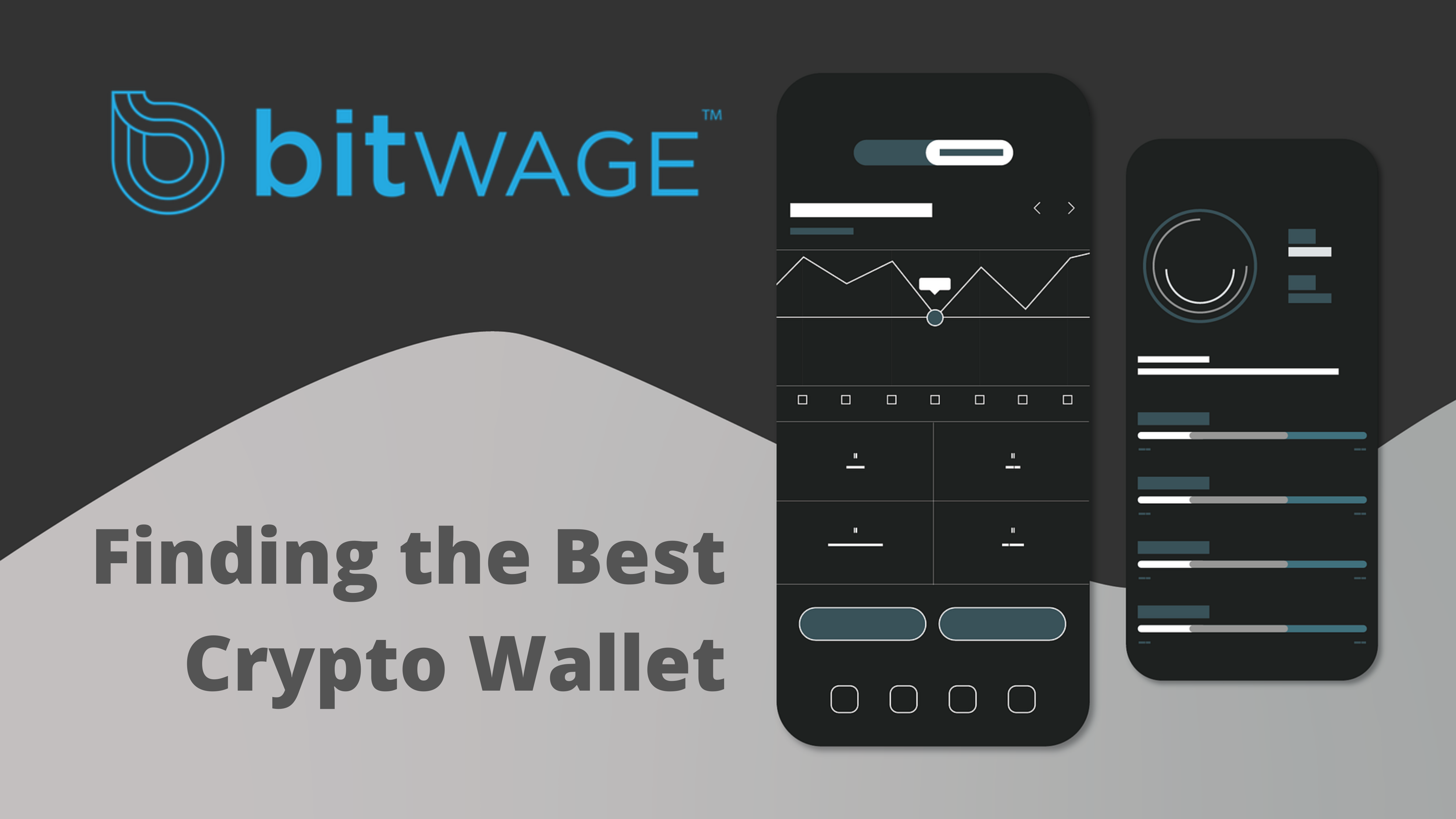 The Only Guide You Need to Find the Best Crypto Wallet