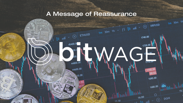 Here's Why You Can Trust Bitwage During Crypto Industry Chaos